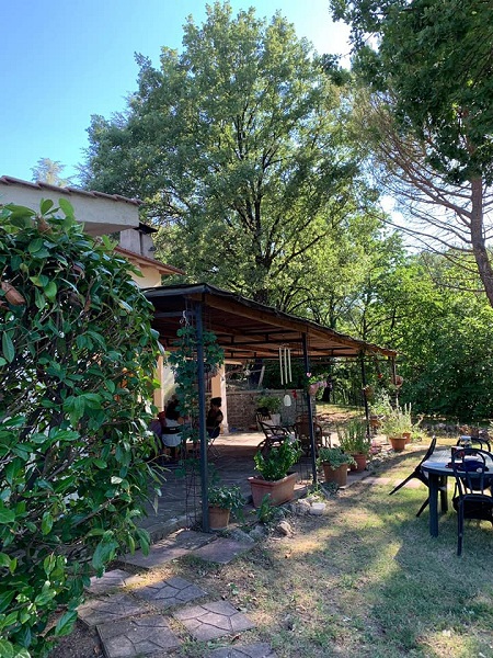 LE AMACHE NEL BOSCO